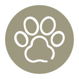 icono petfriendly